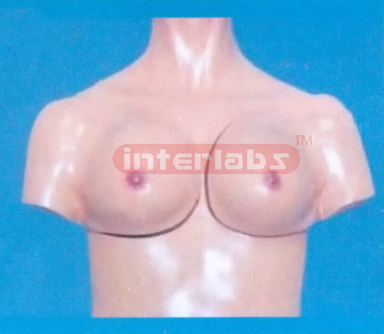 DELUXE BREAST EXAMINATION SIMULATOR